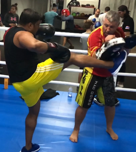 MMA fight Ukraine